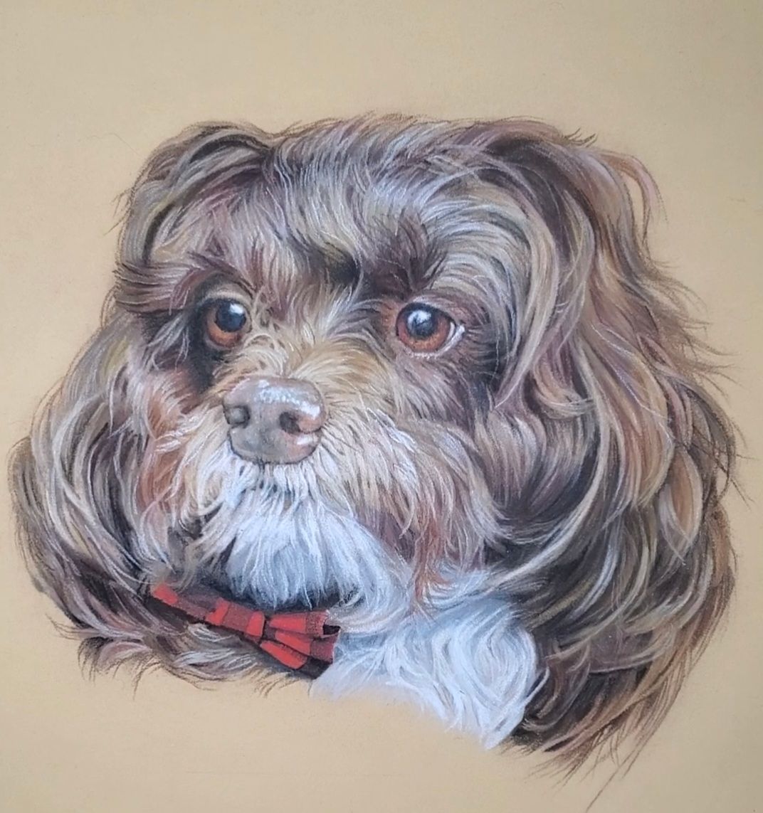 Other pet dog in pastel