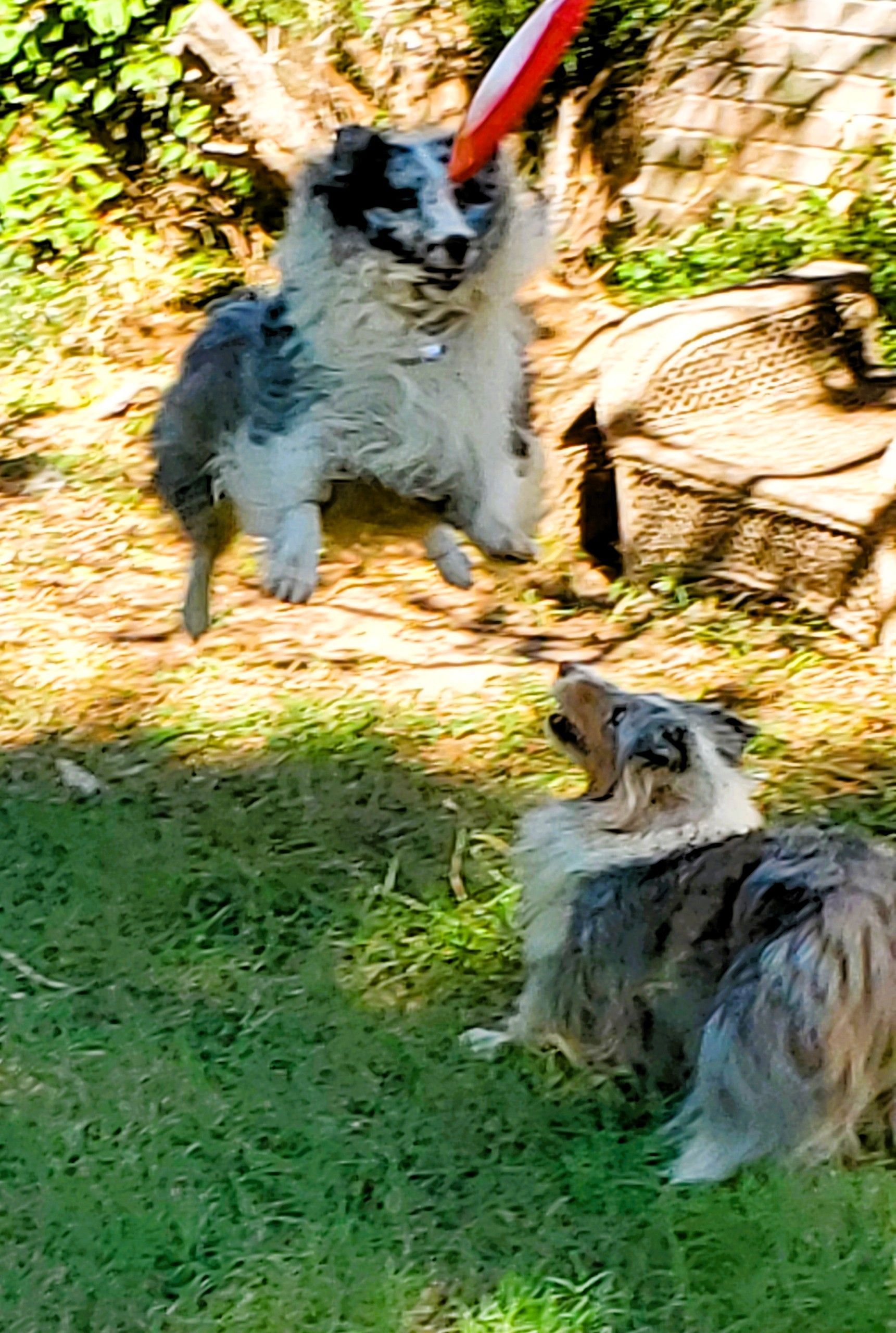 Winston in action