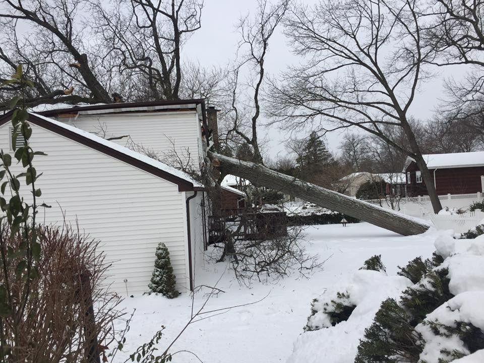 A tree has fallen onto the roof of a house covered in snow, outdoor setting.