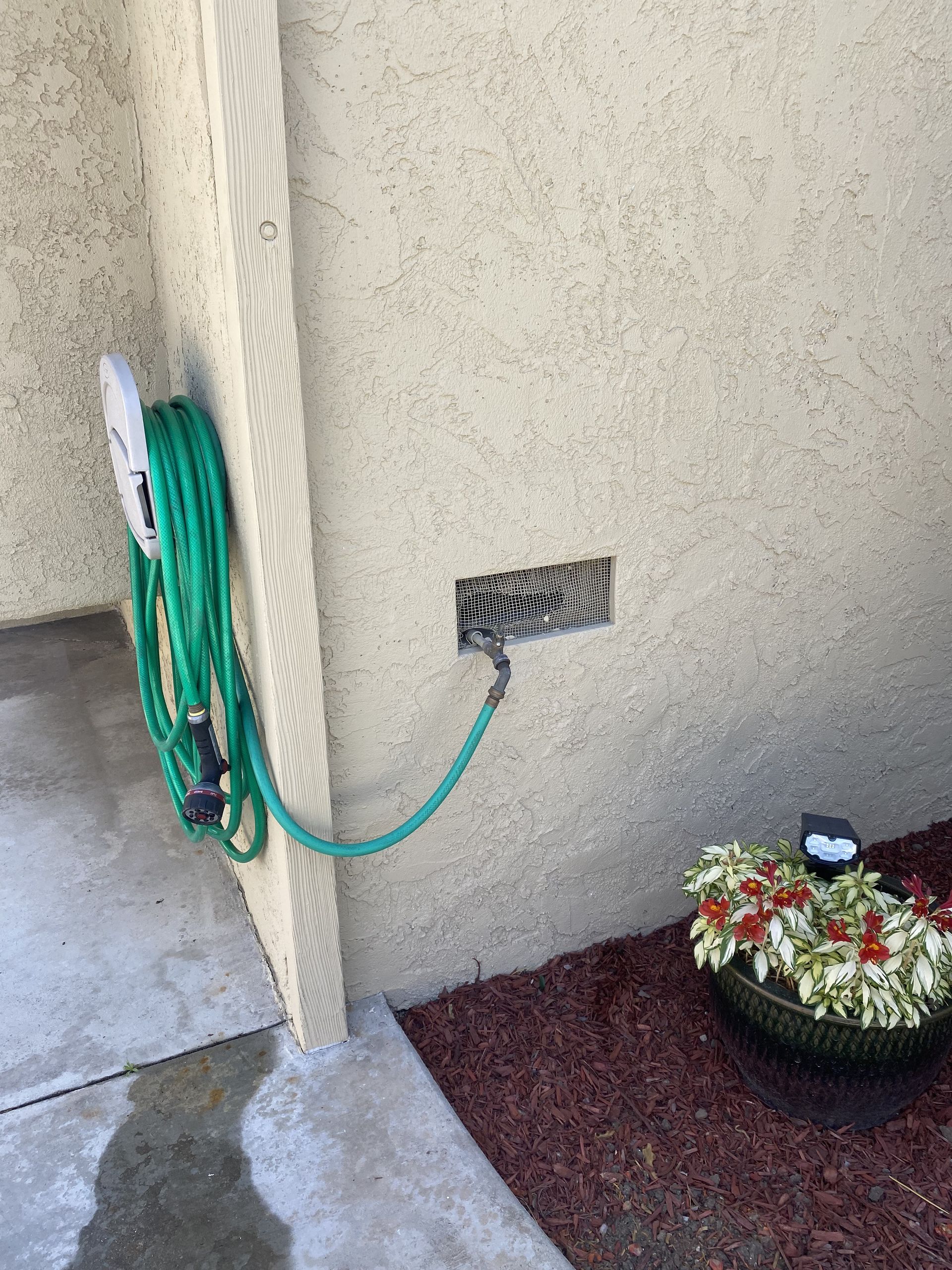 Green garden hose on exterior wall beside a planter of white and red flowers.