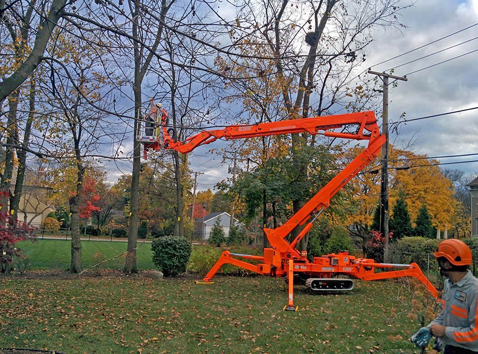 Tree Boss spider lift