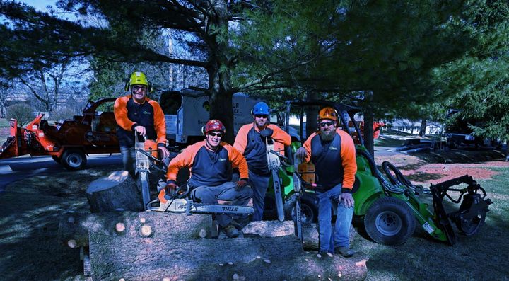 Tree Bosses group pic