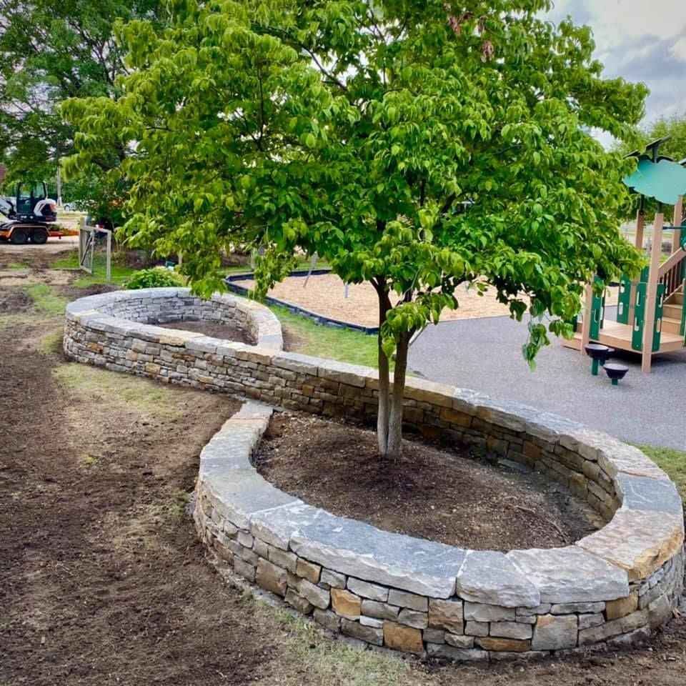 A tree is surrounded by a stone wall in a park.