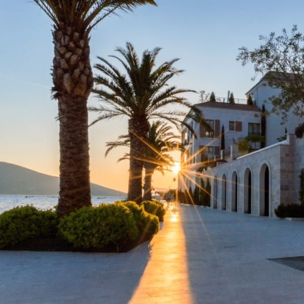 ademcoach opleiding Montenegro