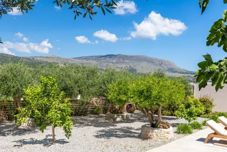 Grădina din vila Eva Chania din Creta, cu arbuști joși și vegetație tipic mediteraneană. 