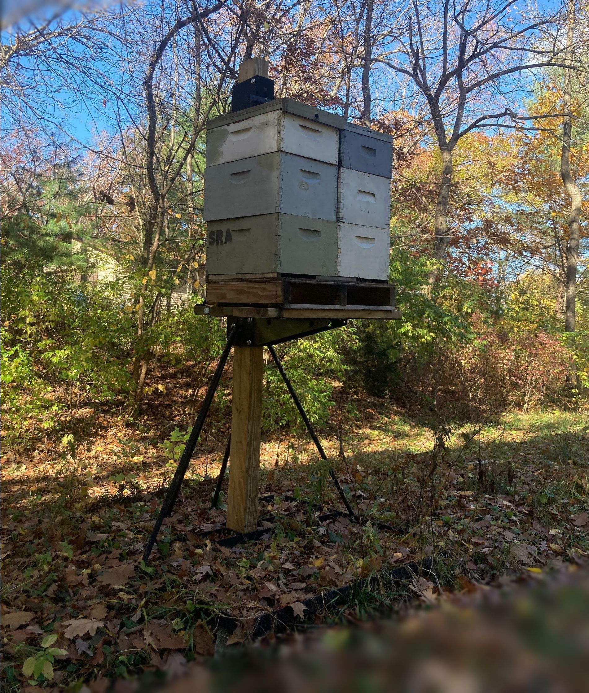 A row of beehives in a field with trees in the background