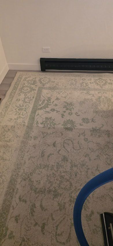 Corner of a room with a light patterned rug, beige wall, black baseboard heater, and part of a blue chair.