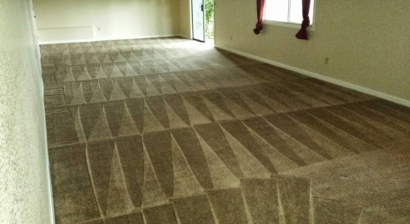 Empty carpeted room with striped sunlight from a window across the floor