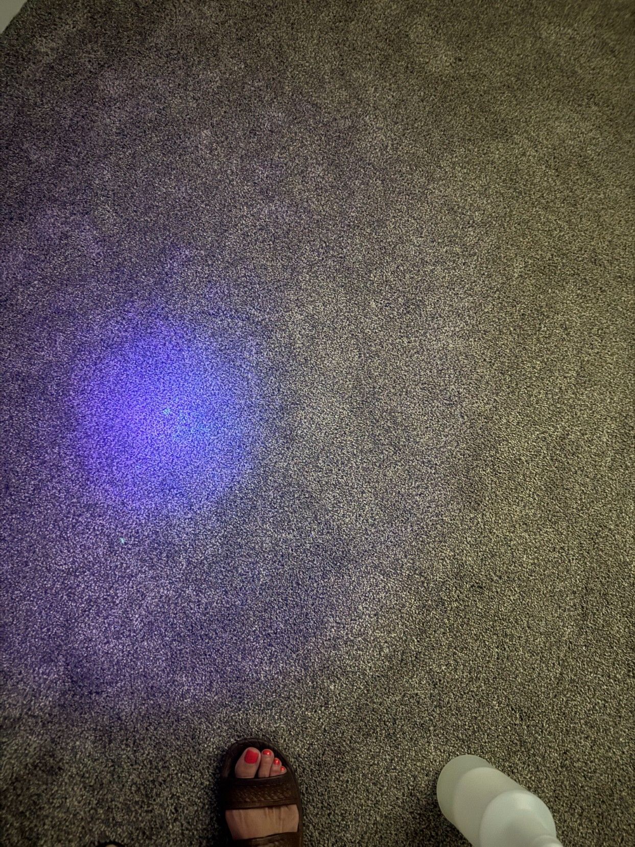 Carpeted floor with a purple light reflection and a sandal visible at the bottom edge