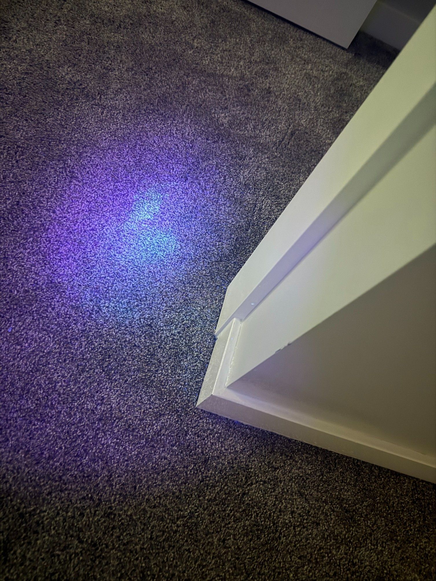 Blue-purple light reflecting on a carpeted floor beside an open white door.
