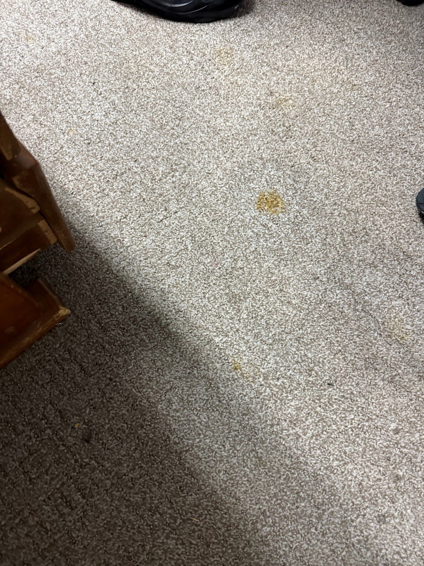 Close-up of a speckled gray floor with a small brown stain near the center and dark objects at the edges