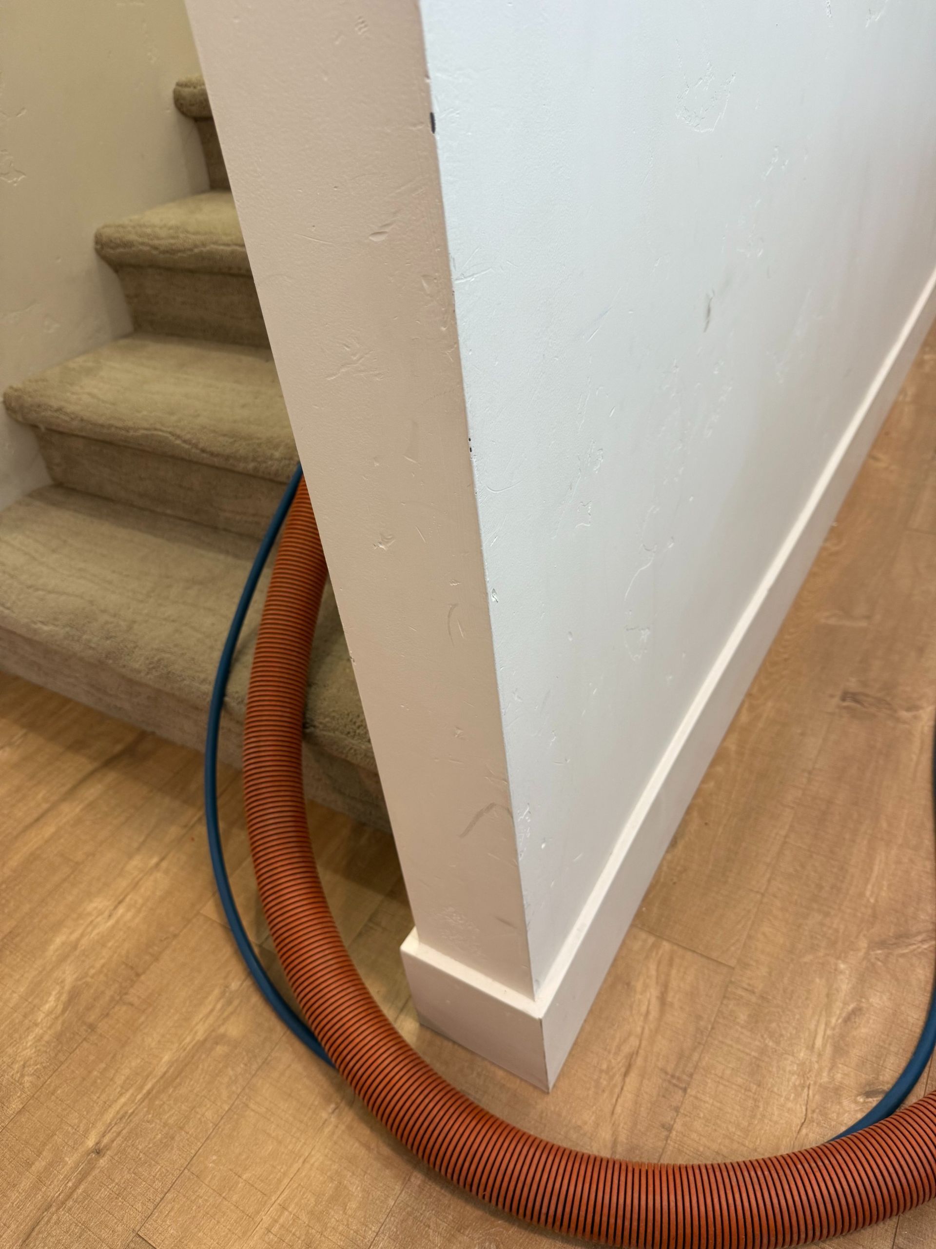 Orange hose lying across carpeted stairs and hardwood floor beside a white wall corner.