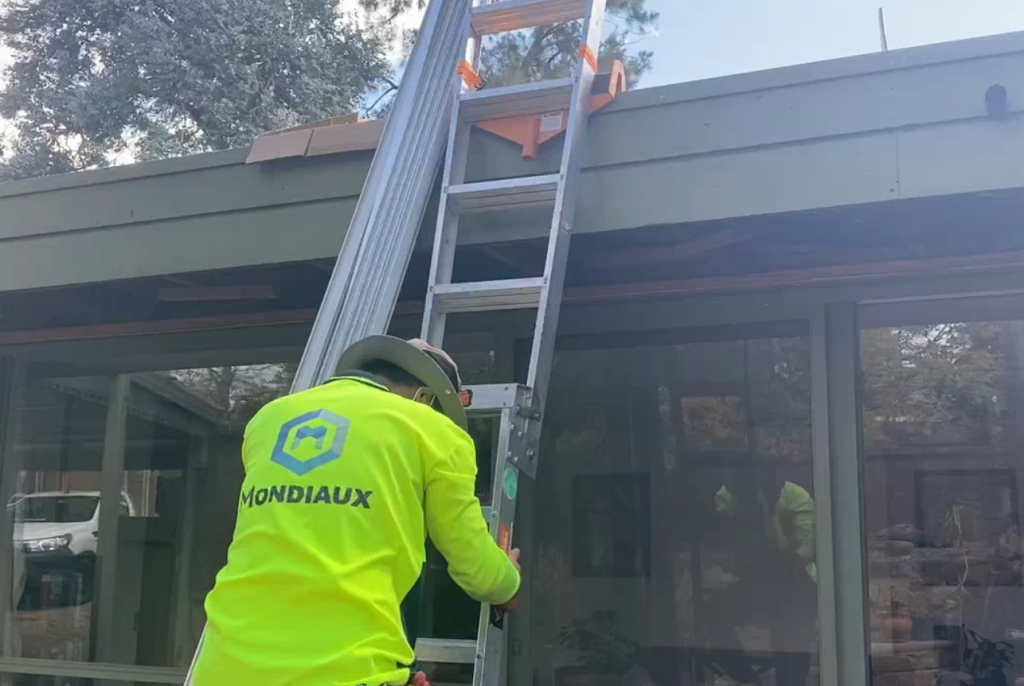 A man is standing on a ladder on top of a building.