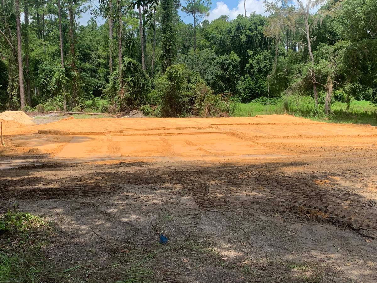 A large pile of dirt is sitting in the middle of a forest.