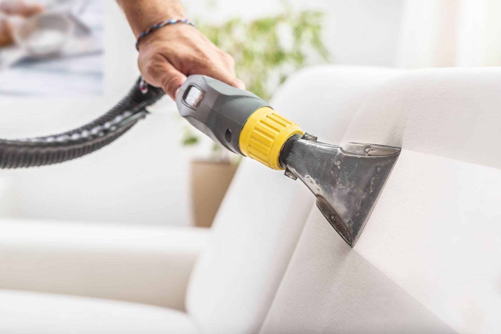 Person cleaning a white couch with an upholstery cleaner. Person cleaning a white couch with an upholstery cleaner.