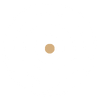 Small, round, light brown dot centered on white background.