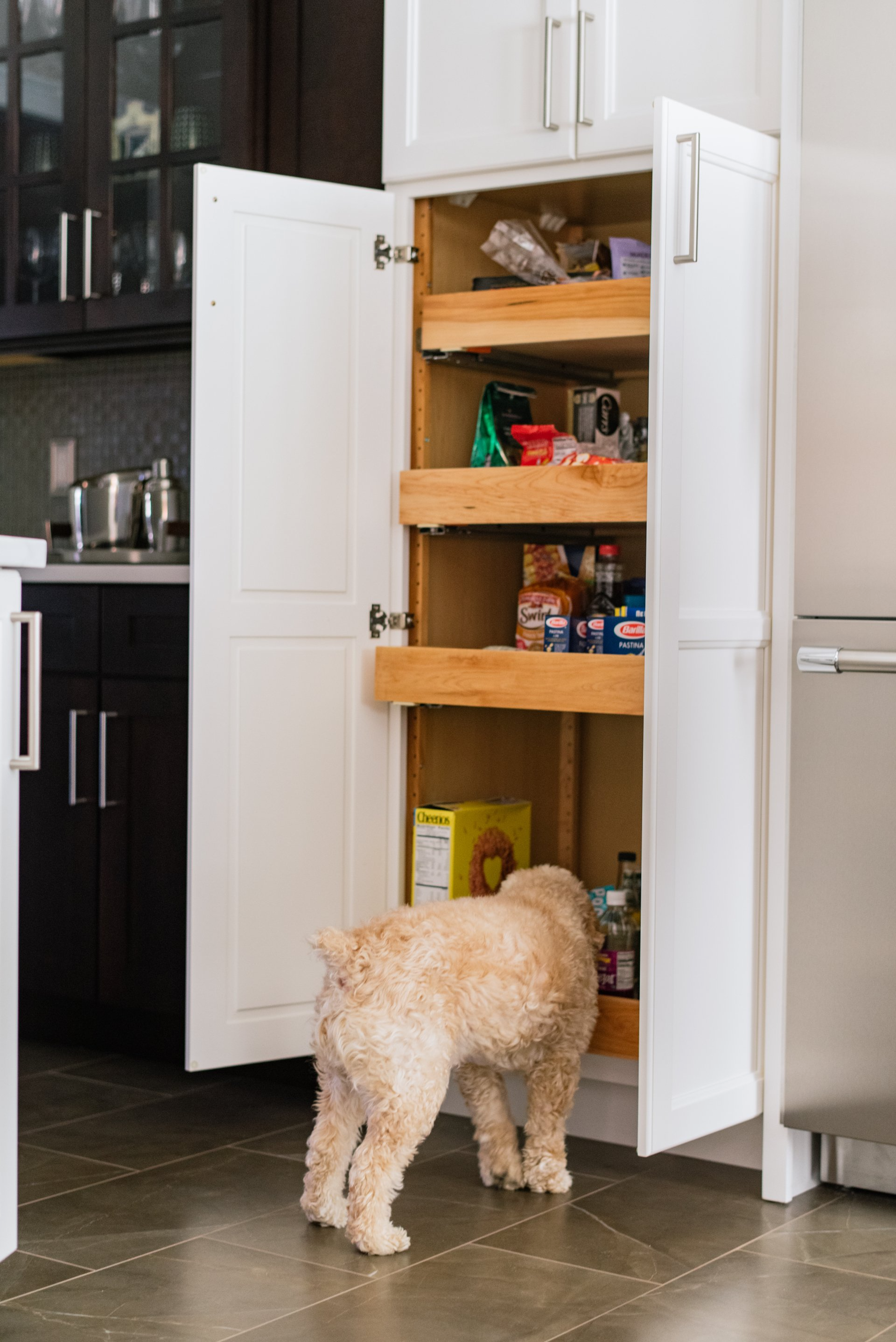 A dog is looking into a pantry in a kitchen.