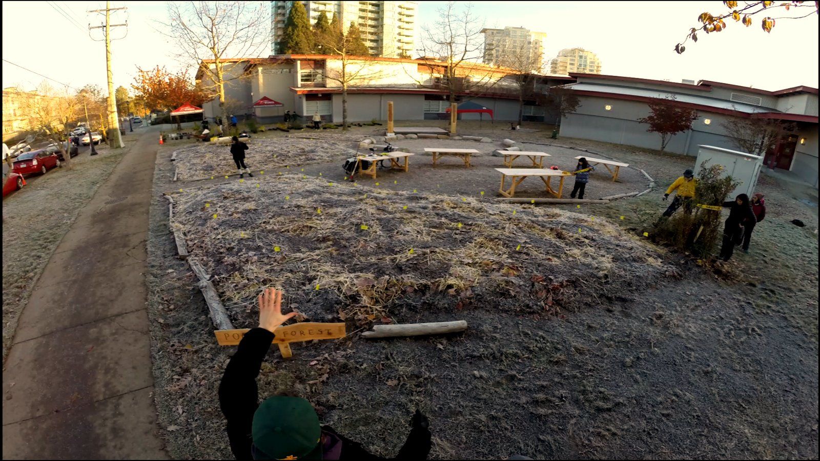 British Columbia's First Miyawaki Forest