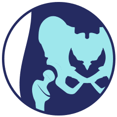 Hip joint and pelvis in light blue silhouette on a dark blue circle.