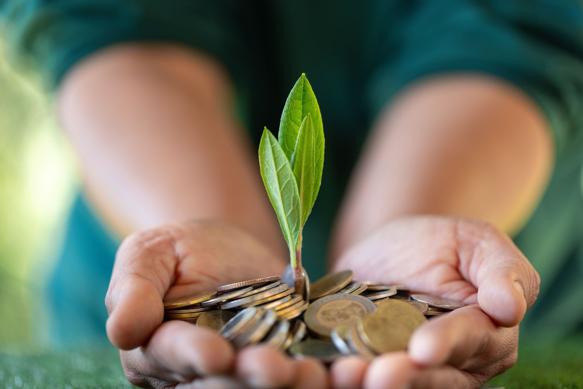 Bridging Finance
