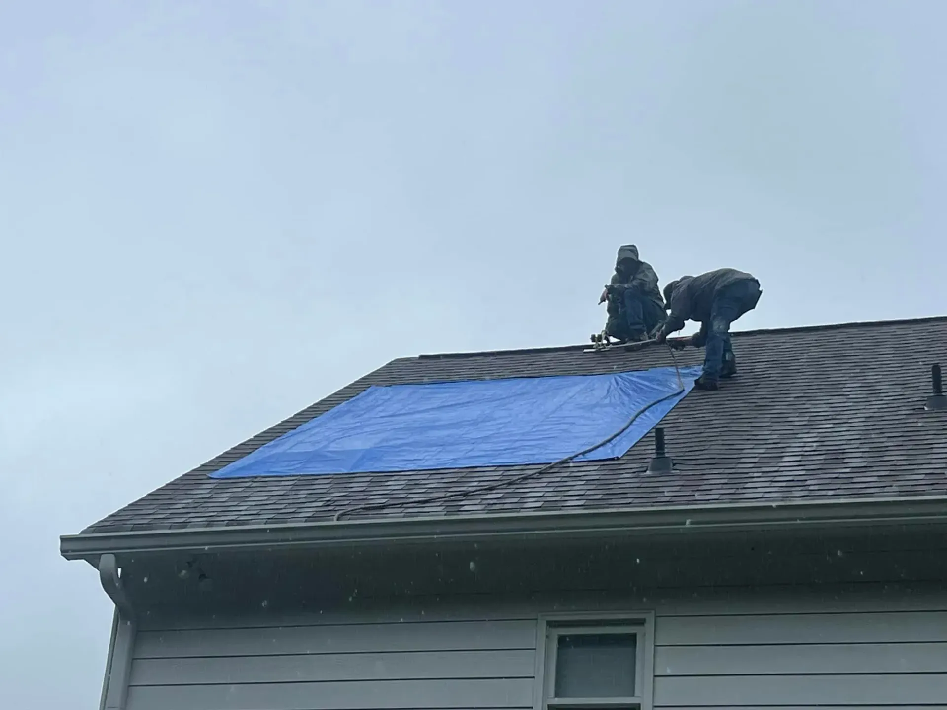 Workers on a house roof installing a blue tarp over damaged shingles.