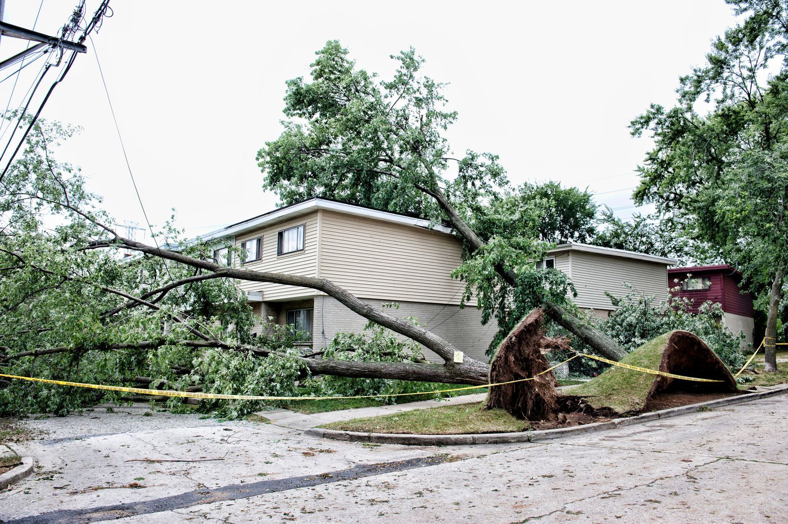 Storm-damaged street with fallen trees, broken branches, and a damaged house after severe weather