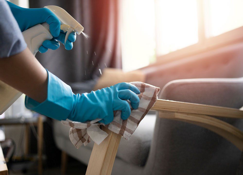 Cleaning Sofa — Reno, NV — Fresh Start Cleaning Cleaning Sofa — Reno, NV — Fresh Start Cleaning