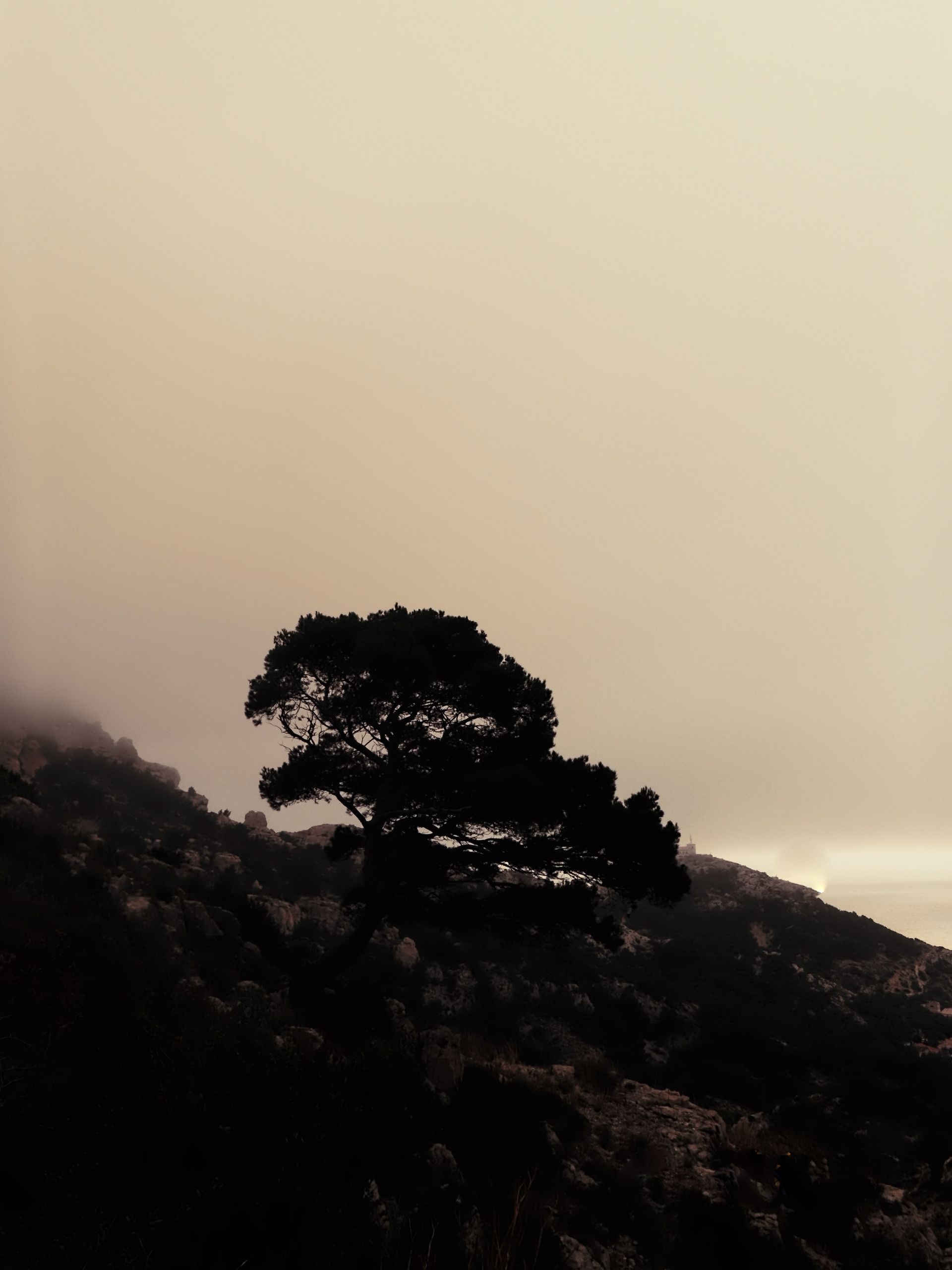 SUNouSAN - visual artist - nature art