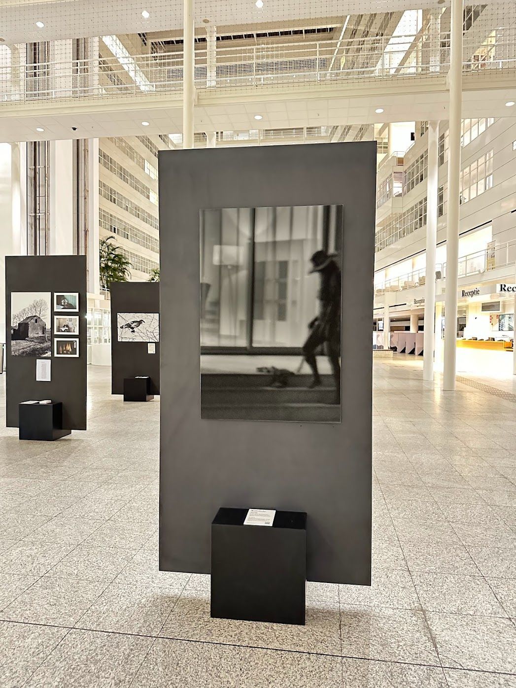 Expositie I Atrium Den Haag I Nachtvlinder I The Nightfly I SUNouSAN I