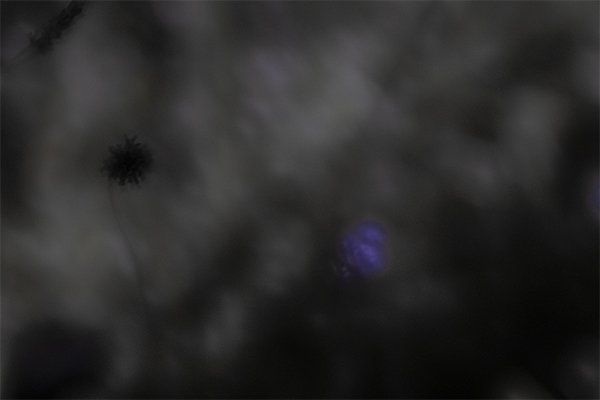 SUNouSAN - visual artist - The Night fly - emotions
