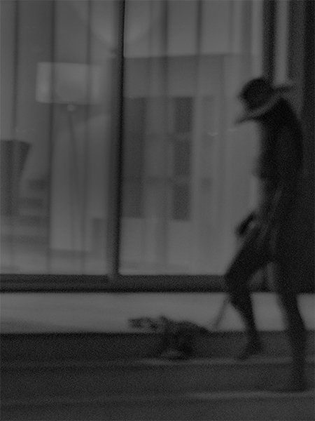 SUNouSAN - visual artist - The Night fly - emotions