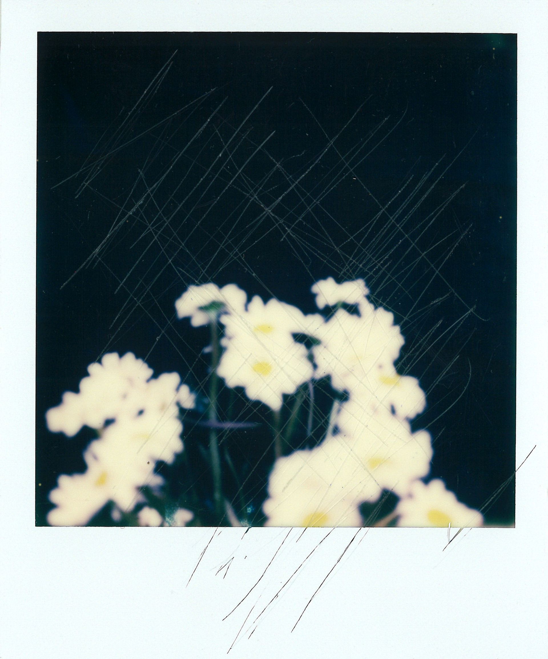 SUNouSAN, polaroid art, 