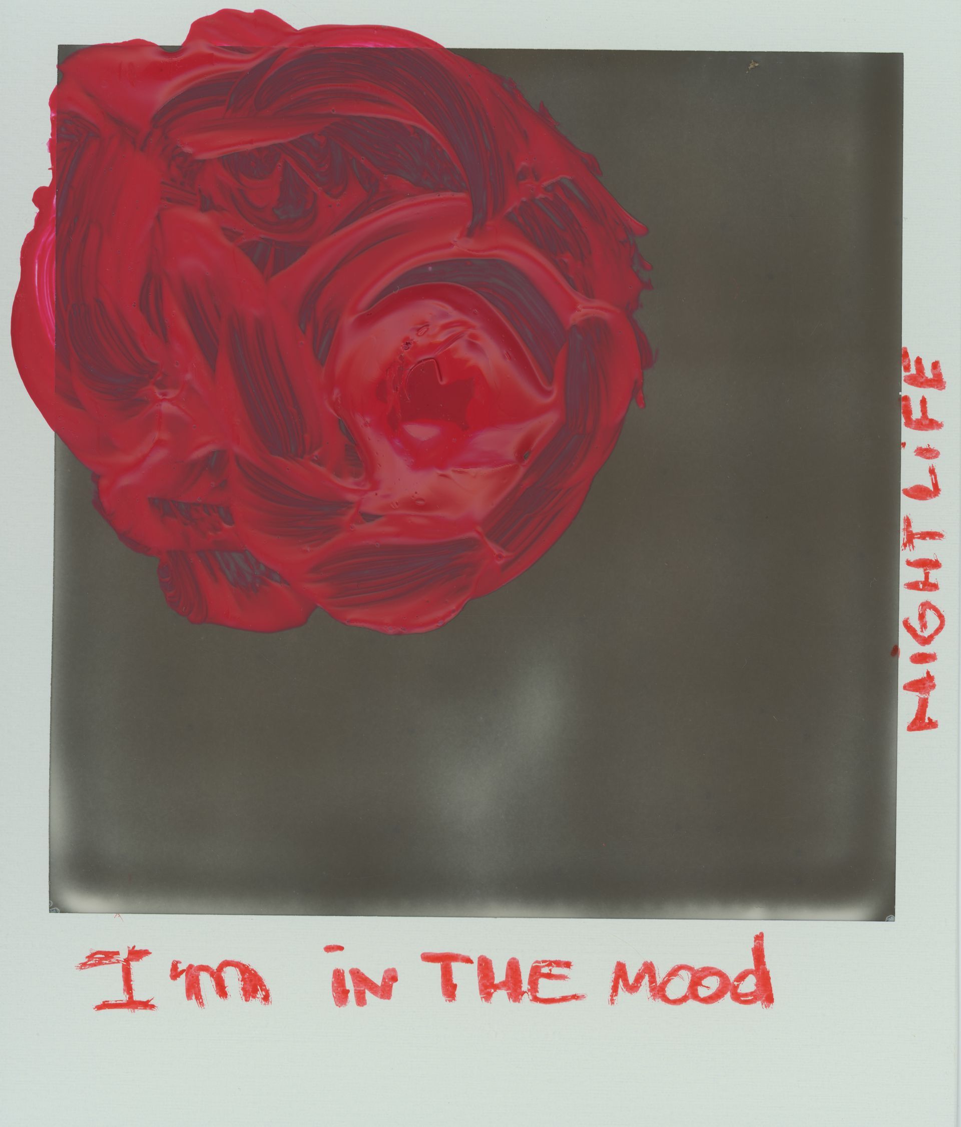 SUNouSAN, visual artist, Polaroid art, 