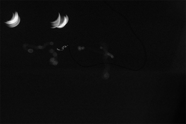 SUNouSAN - visual artist - The Night fly - emotions