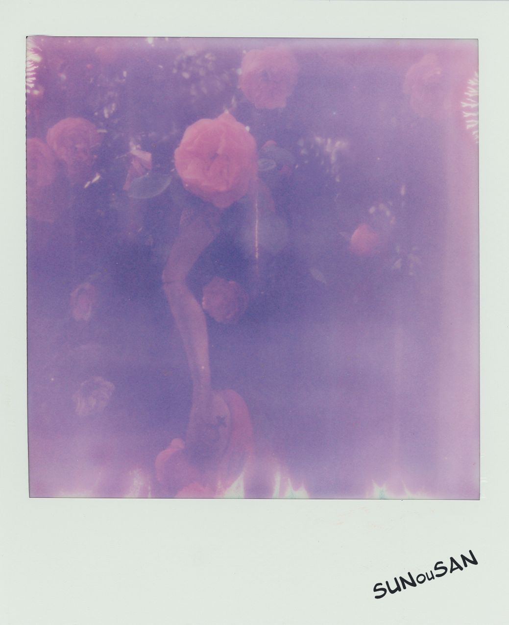 SUNouSAN,- visual artist - -night diary - polaroid art