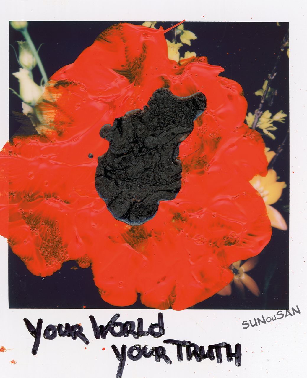 SUNouSAN,- visual artist - -night diary - polaroid art