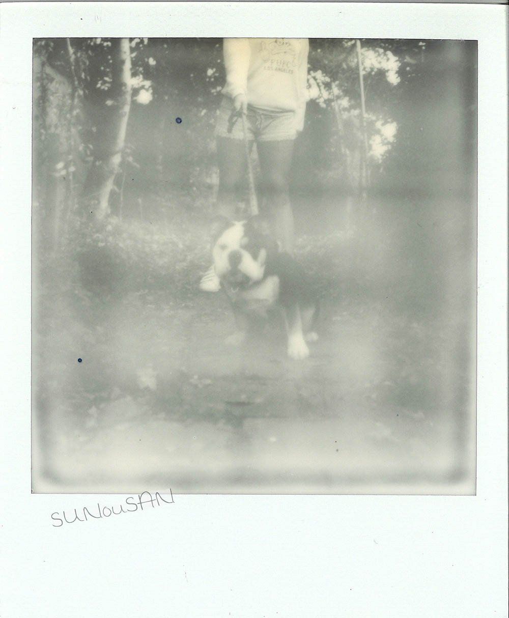 SUNouSAN - visual artist - woman fight - polaroid art