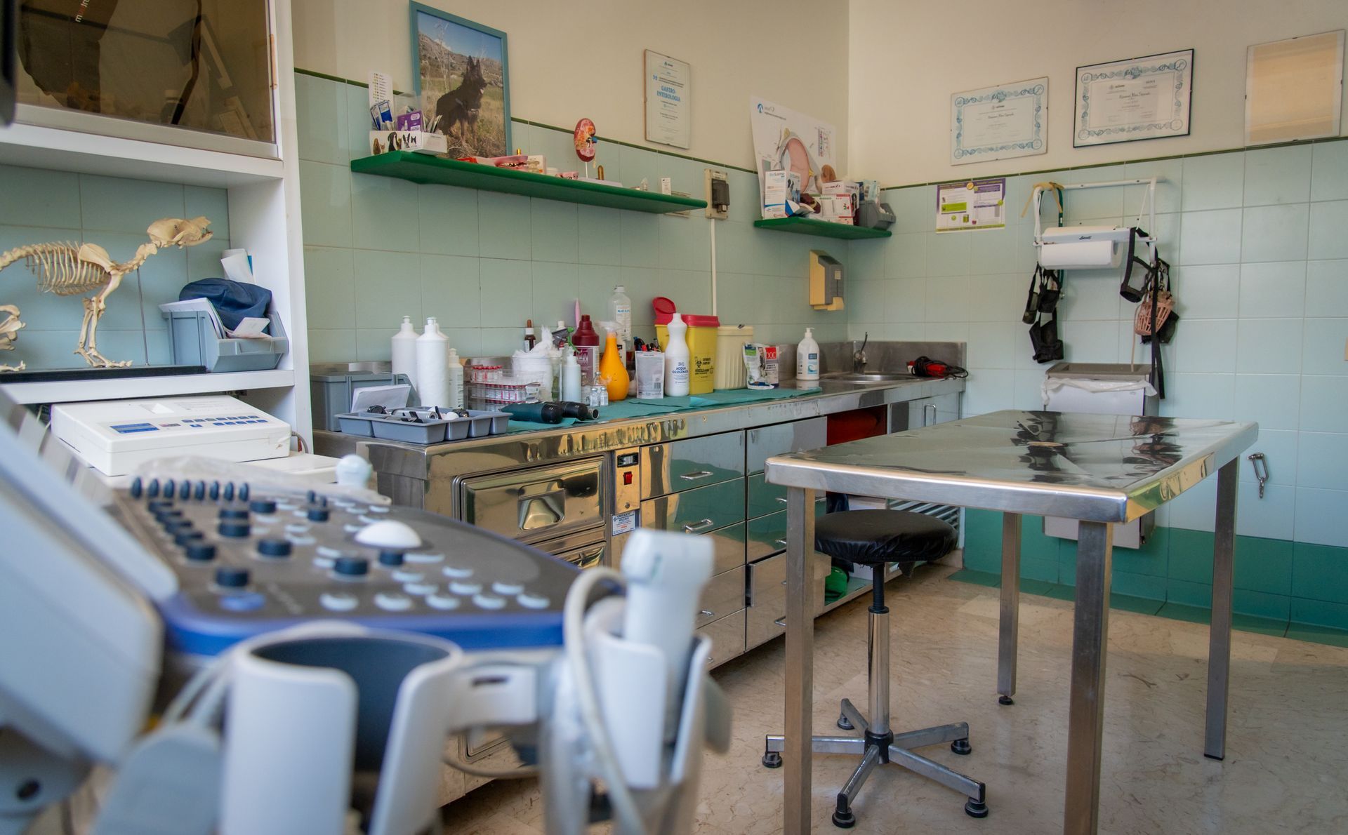 Uno studio veterinario con un tavolo, sedie e un ecografo.
