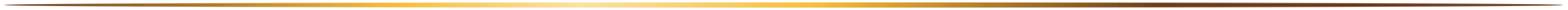 Dark horizontal gradient bar with black, brown, and gold tones across the top edge