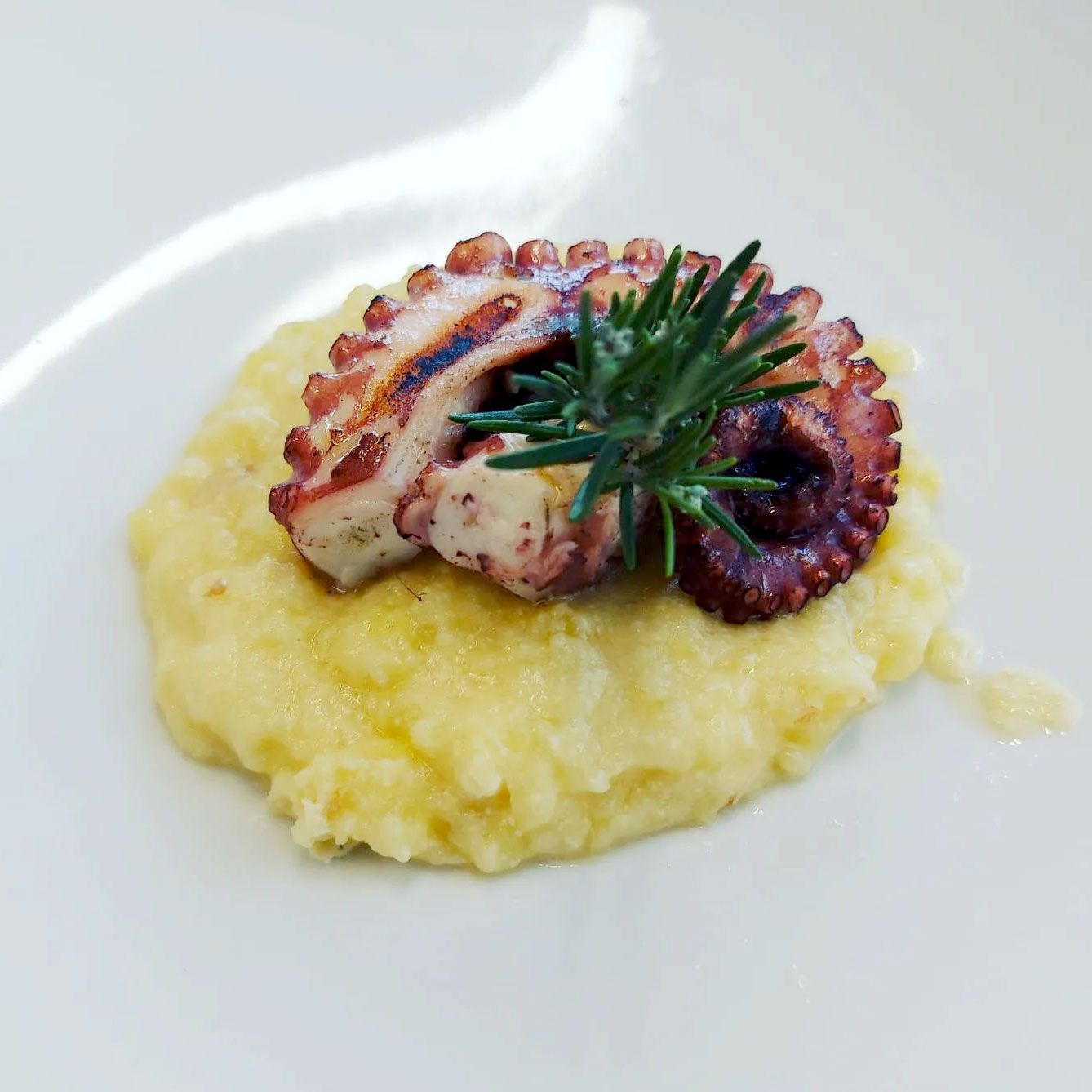 polipo e polenta