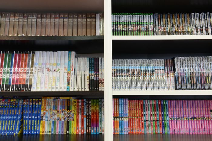Ci sono molti tipi diversi di libri sugli scaffali.