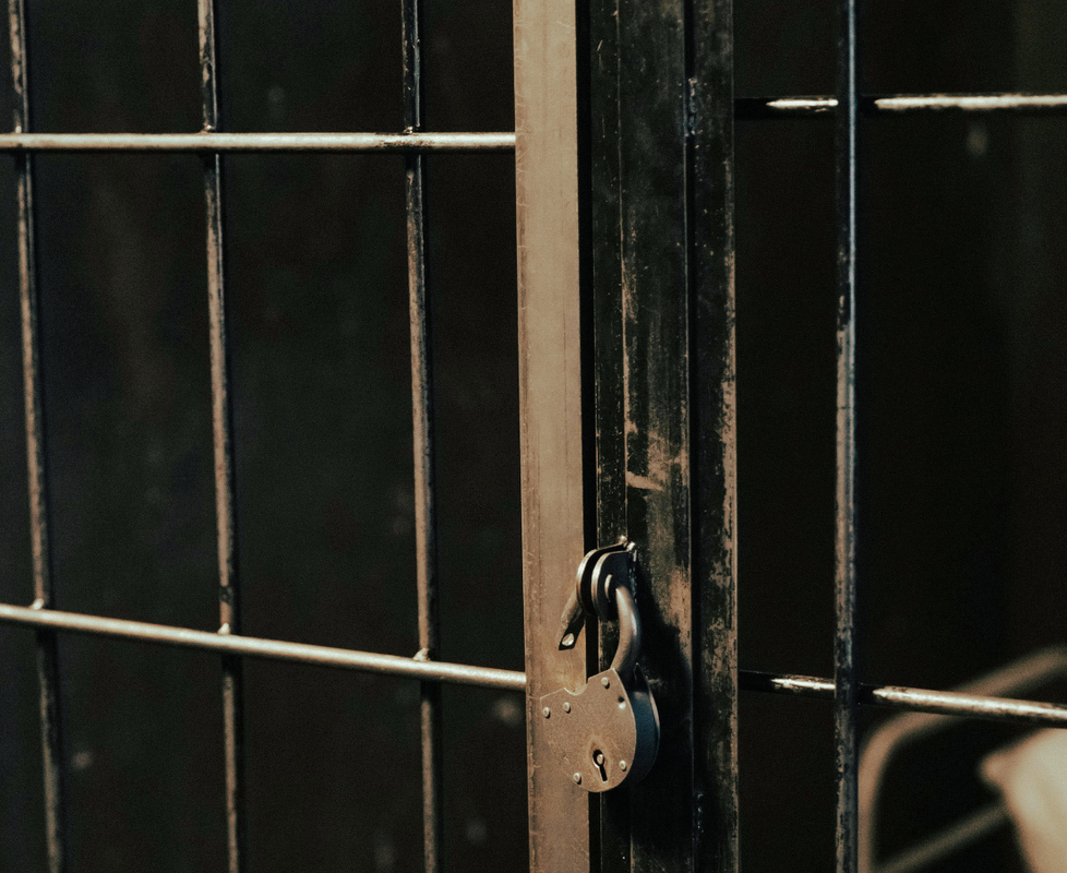 A close-up view of a metal cage door secured with a dark, circular padlock.