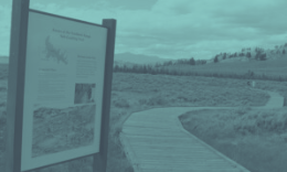 Sign and boardwalk on a trail through a field with mountains in the background.