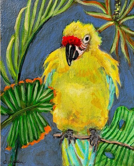 Fluffy bird