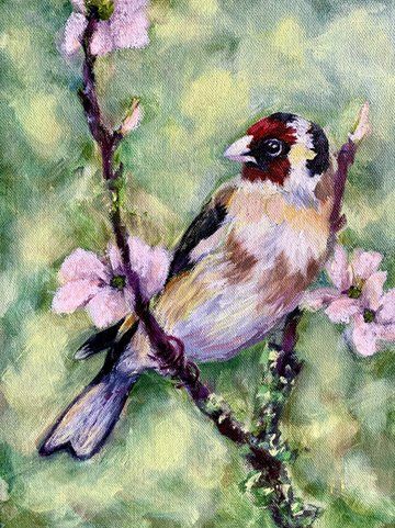 bird song