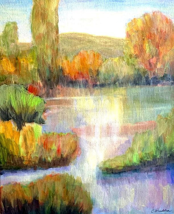 morning at the pond