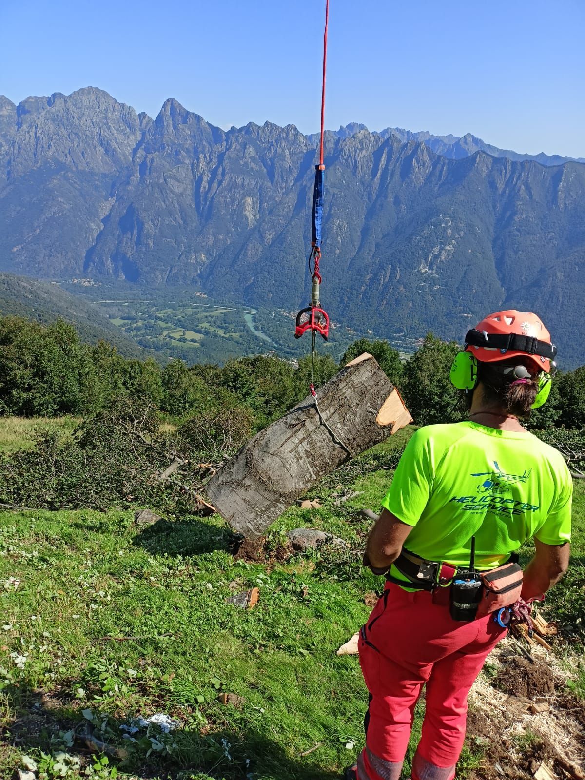 lavori forestali