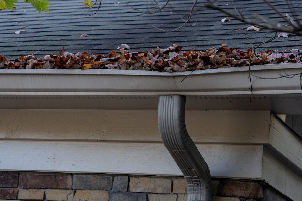 A gutter with leaves on it and a roof in the background.