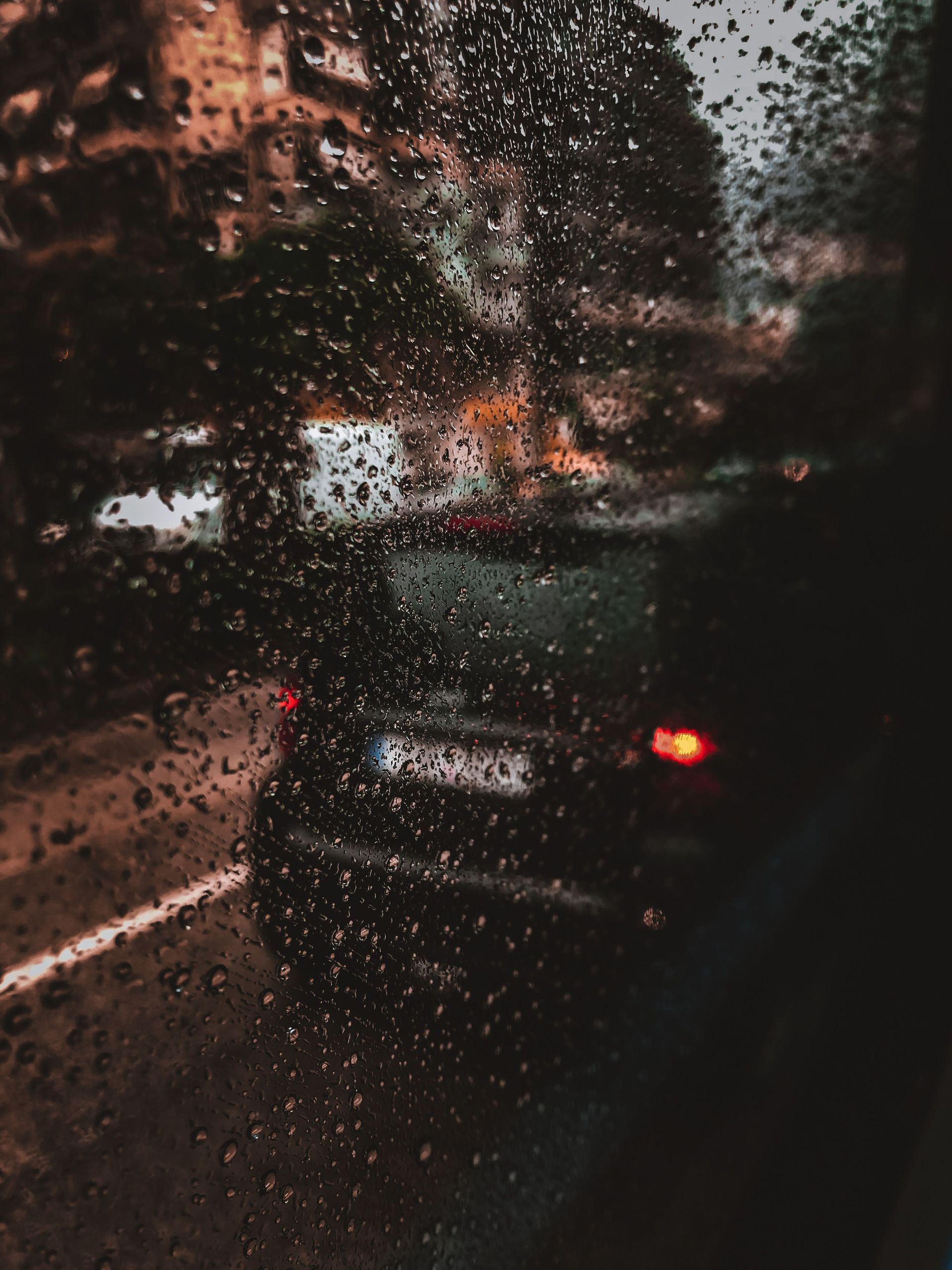Sunroof Leaks and AWD Service on European Cars - Longview, WA