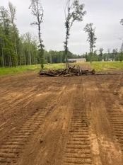 Cleared dirt lot with fresh tire tracks and a pile of branches near trees under an overcast sky